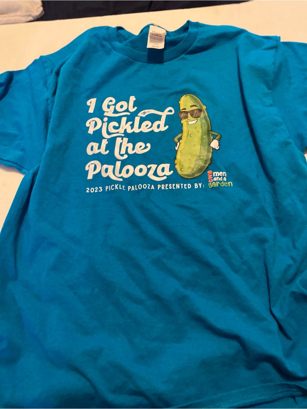 Hanes Bright Blue 'I Got Pickled at the Palooza' Graphic Tee